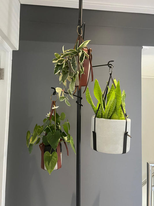 The Pole (Black + 4 hooks)