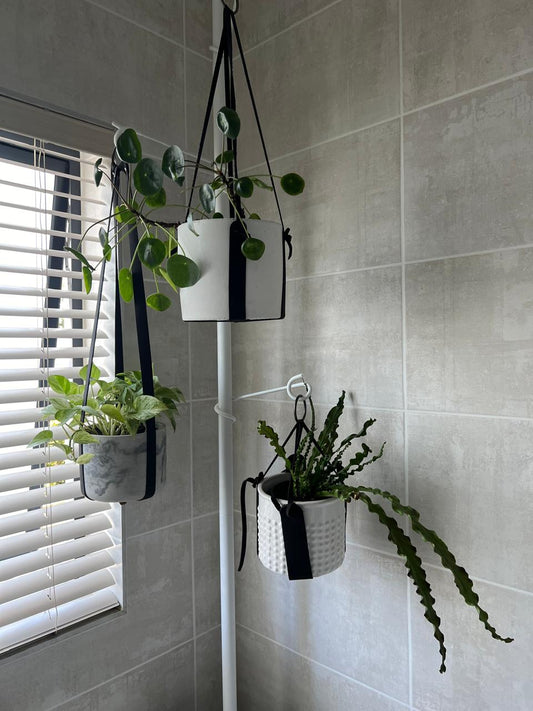 The Pole (White + 4 hooks)