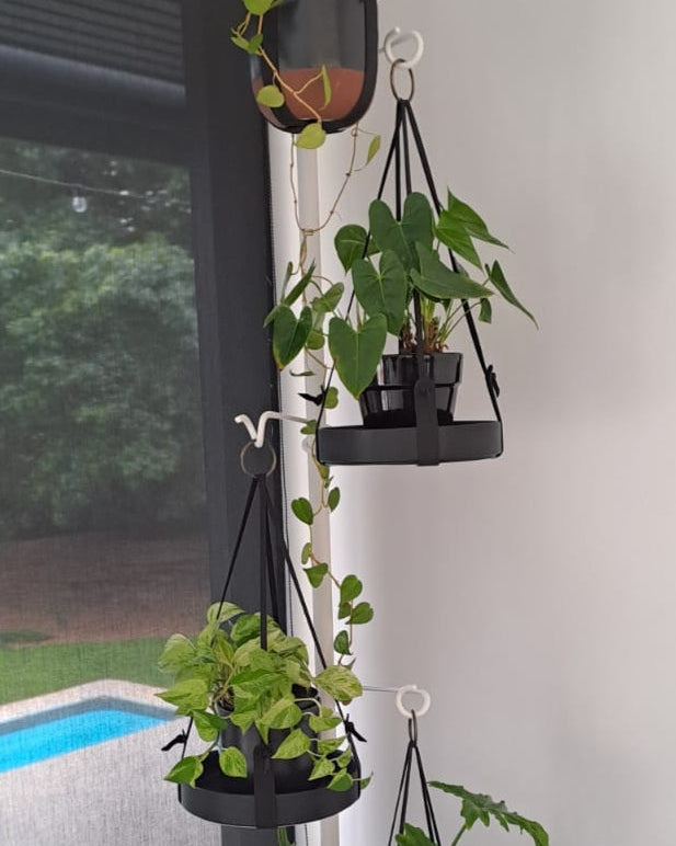 indoor plant pole stand The Pole (White + 4 hooks) – Shop Di+