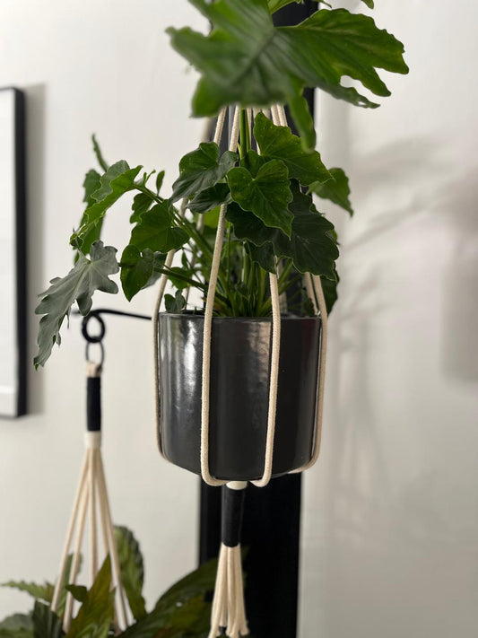 Combo 2 (Black pole + 3 rope hangers)