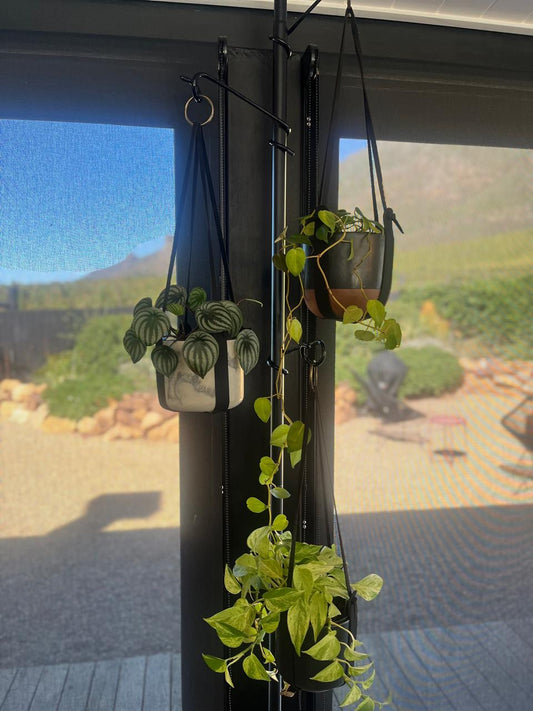 Combo 4 (Black pole + 4 hangers)