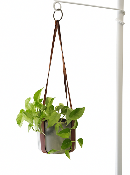 The Leather Hanger (Brown)