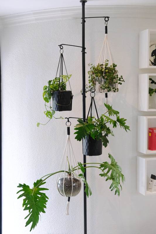 The Pole (Black + 4 hooks)